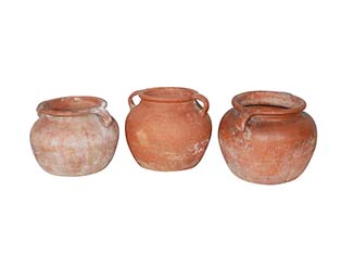 Antique Pots for Hire